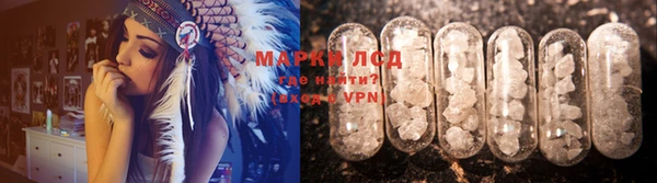 ГАЛЛЮЦИНОГЕННЫЕ ГРИБЫ Аркадак