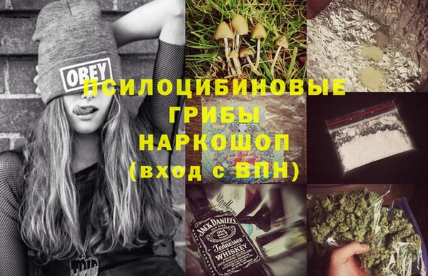 ГАЛЛЮЦИНОГЕННЫЕ ГРИБЫ Аркадак
