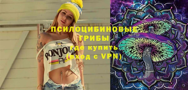 прущие грибы Армянск