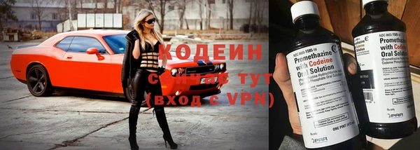 ГАЛЛЮЦИНОГЕННЫЕ ГРИБЫ Аркадак